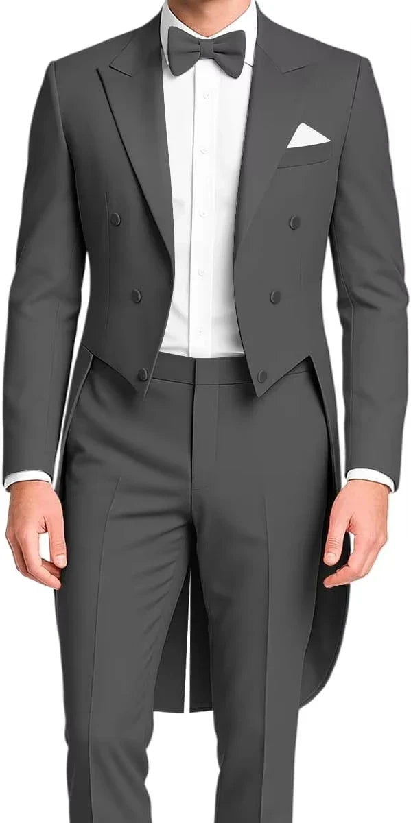 Costume queue de pie homme, costumes homme 2 pièces, pantalon blazer slim, veste queue de pie à un bouton pour bals, concerts, mariages