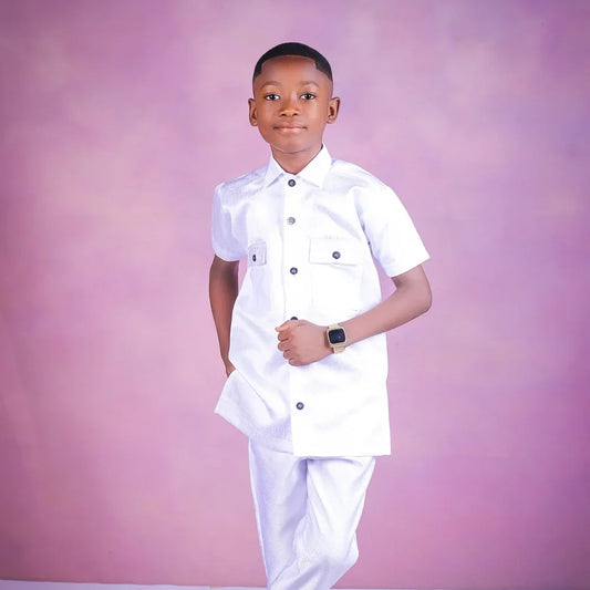 Boy Suits Fashion Short Sleeves Single Breasted Children's Clothing Summer Stand Collar Formal Fashion Daily Kids Clothes