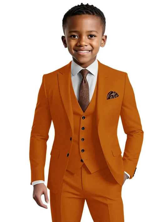 Multi-colors Boys Slim Fit Suits 3 Pieces Wedding Ring Bearer Outfit Elegant Long Sleeve Kids Tuxedo 2-20T Performance Wear