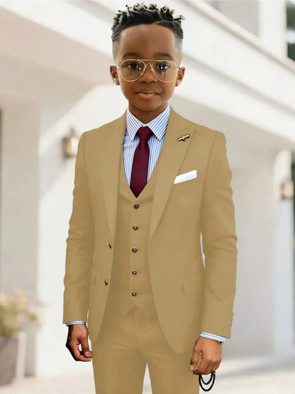 Formal Boys Suits 3 Pieces Wedding Ring Bearer Outfit Handsome Peak Lapel Homecoming Suit Set Fast Delivery Tuxedo 2-20T