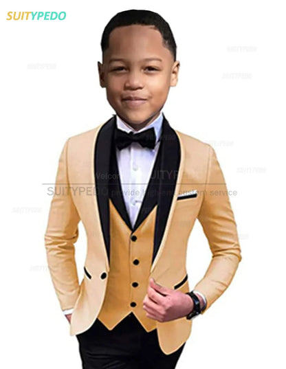 Elegant Lavender Boy's Suit Set Evening Party Classic Children's Clothing Kids Baptism Formal 3 Pieces Custome Blazer Vest Pants