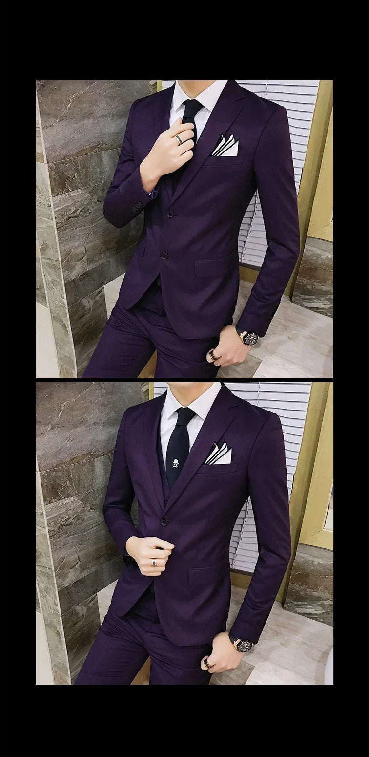 Men's 3-Piece Slim Fit Suit – Business & Wedding Formal Set with Blazer, Vest & Pants
