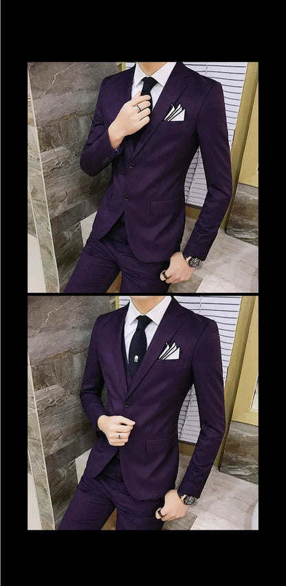 Men's 3-Piece Slim Fit Suit – Business & Wedding Formal Set with Blazer, Vest & Pants