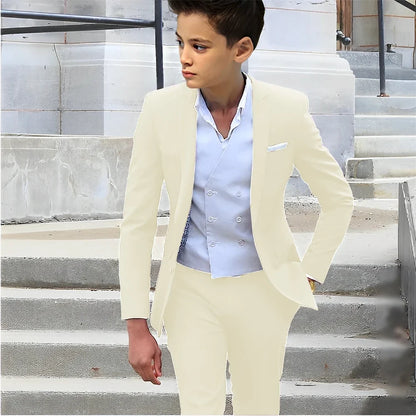 Formal Boys Slim Fit Suits 2 Pieces Birthday Party Tuxedo,Smart Handsome Kids Suit Set Wedding Guest Outfit Plus Size 2-20T