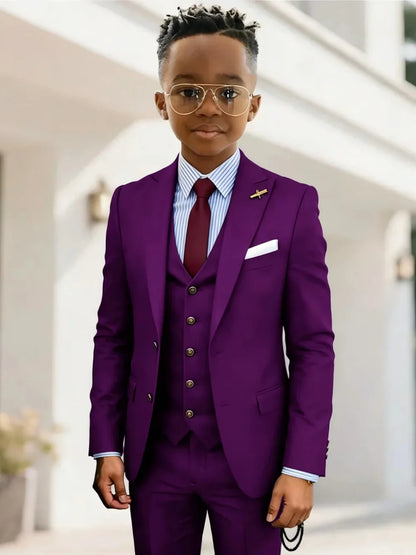 Formal Boys Suits 3 Pieces Wedding Ring Bearer Outfit Handsome Peak Lapel Homecoming Suit Set Fast Delivery Tuxedo 2-20T