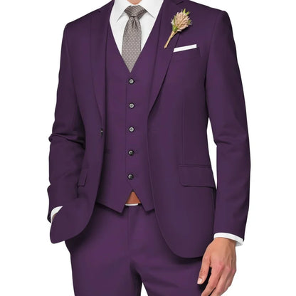 Costume de Mariage Formel pour Hommes Élégant Haut de Gamme Slim Fit 3 Pièces Blazer Gilet Pantalon Business Décontracté pour Soirée Dansante