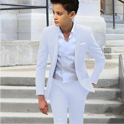 Formal Boys Slim Fit Suits 2 Pieces Birthday Party Tuxedo,Smart Handsome Kids Suit Set Wedding Guest Outfit Plus Size 2-20T
