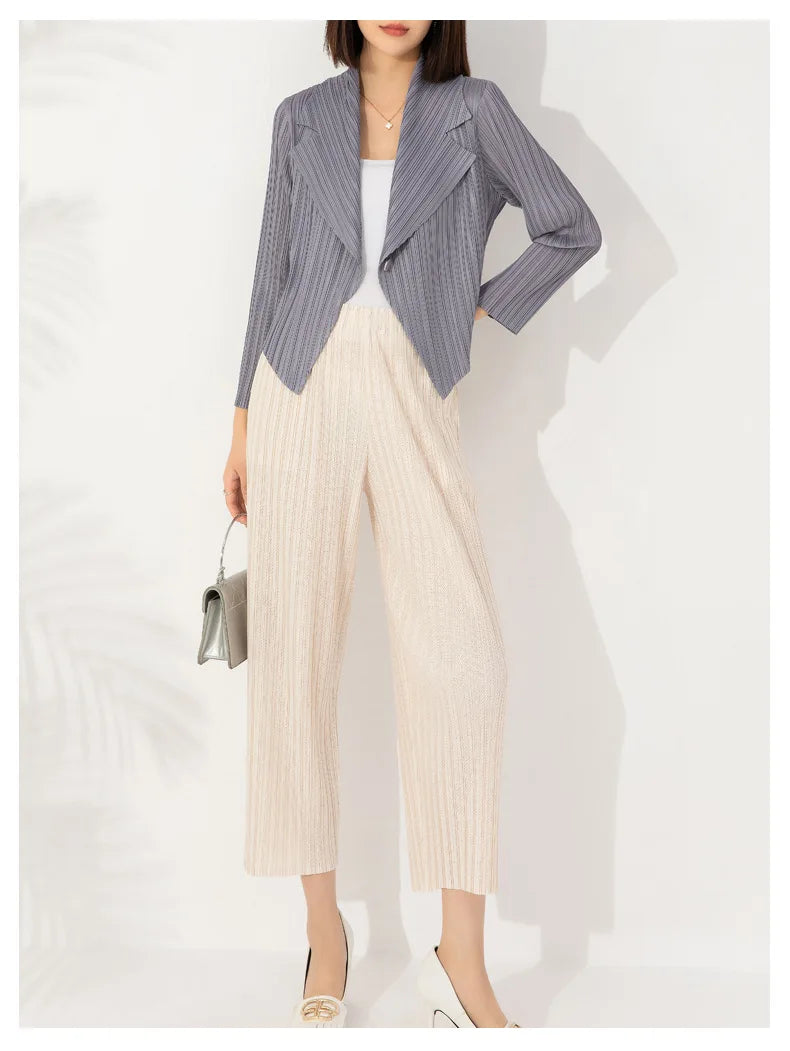 Pleated Coat Women's Early Autumn New Style 2023 Fashionable Versatile Suit Collar One Button Temperament Short Suit Top