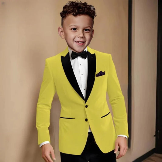 Fashionable Velvet Collar Boys Slim Fit Suits 2 Pieces Host Costumes,Elegant Formal Kids Suit Set Birthday Party Outfit 2-20T