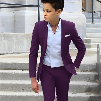Formal Boys Slim Fit Suits 2 Pieces Birthday Party Tuxedo,Smart Handsome Kids Suit Set Wedding Guest Outfit Plus Size 2-20T