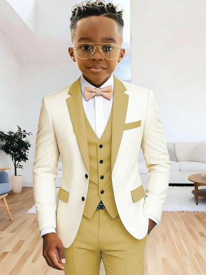 Multi-colors Boys Suits 3 Pieces Jacket Vest Pants Wedding Ring Bearer Outfit Handome Slim Fit Tuxedo For Birthday Party